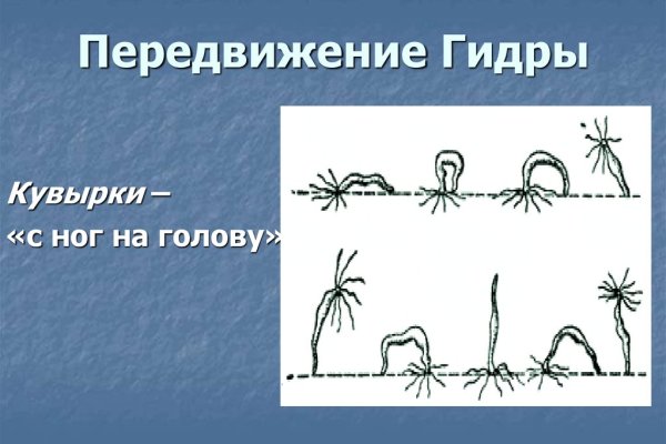 Кракен официальный