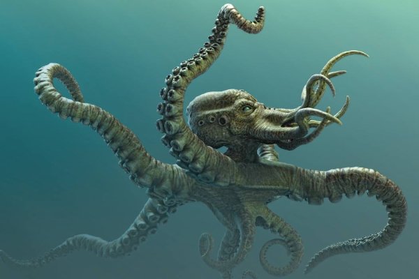 Kraken торговая площадка ссылка